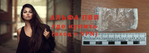 гидра Арсеньев