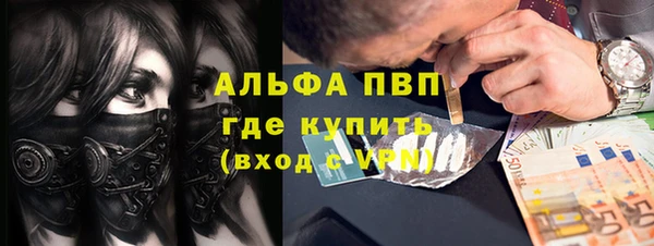 гидра Арсеньев
