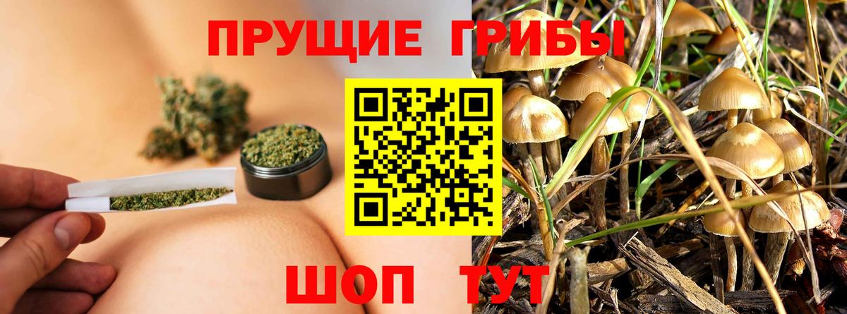 Псилоцибиновые грибы прущие грибы  Вход с VPN  где купить наркотик  Галлюциногенные грибы MAGIC MUSHROOMS  Курганинск 